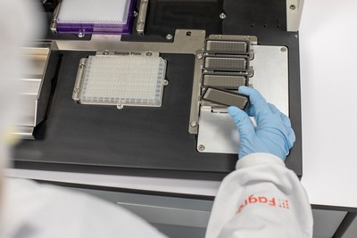 Testowanie DNA foto 15